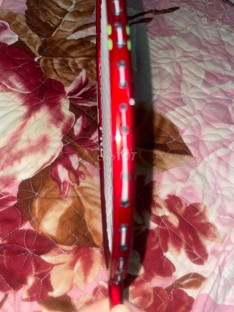 Vợt cầu lông Axforce Cannon Pro Đỏ. Mua bán Đồ thể thao, Dã ngoại tại Thành phố Vinh Nghệ An được đăng bởi Blanc Remy hình 1