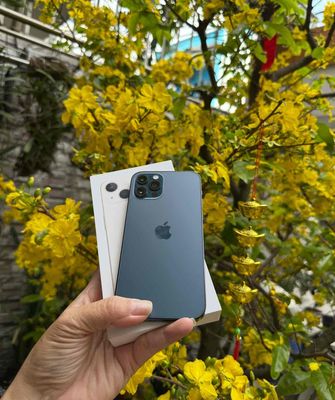 Apple iPhone 12 Pro 128GB Xanh Mỹ