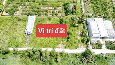 1000m2 thổ cư Thủ Thừa LA- SHCC- Đầu tư lâu dài hoặc xây nhà vườn. Mua bán đất tại Huyện Thủ Thừa Long An được đăng bởi TRẦN NGỌC TỰU