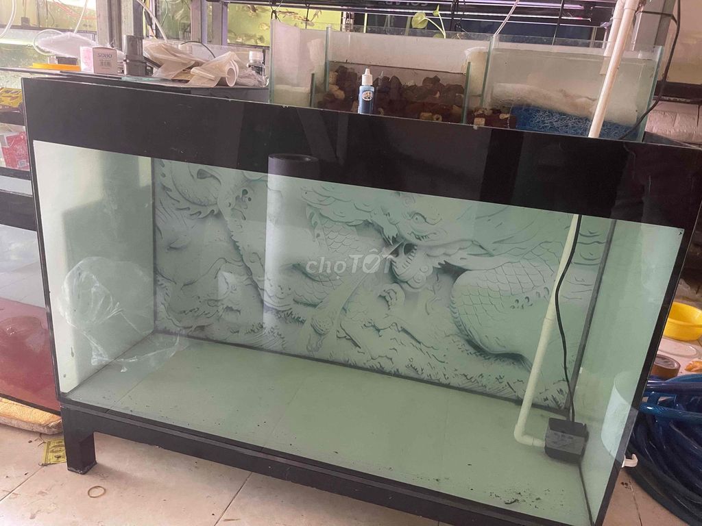 Hồ cá kính 1m x 50cm x 60cm lọc tràn. Mua bán Phụ kiện, Thức ăn, Dịch vụ tại Thành phố Rạch Giá Kiên Giang được đăng bởi Khuong Duy Nguyen hình 1