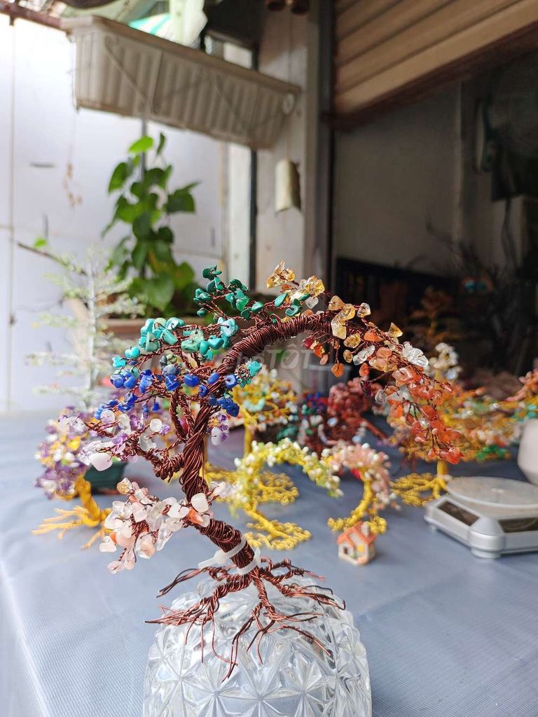 Cây phong thủy đá quý thiên nhiên. Mua bán Cây cảnh, đồ trang trí tại Thành phố Thủ Đức Tp Hồ Chí Minh được đăng bởi Mai Ngọc hình 1