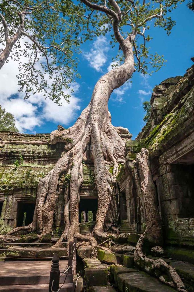 TOUR GIẢM GIÁ NGÀY VÀNG