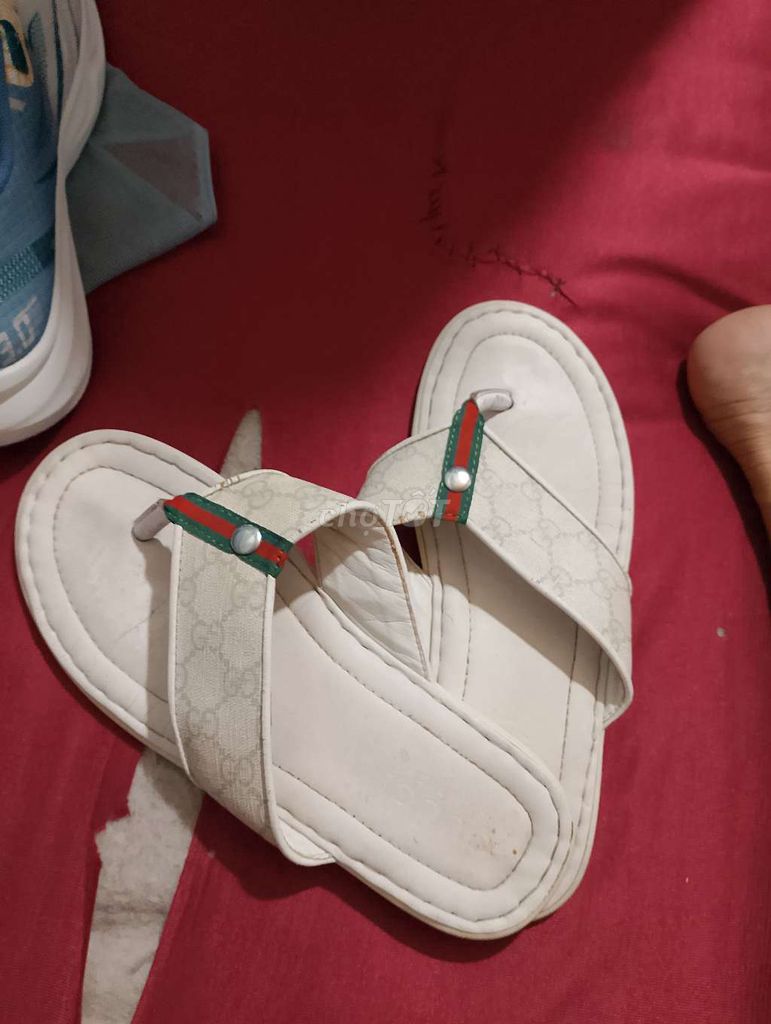 Dép Gucci Nam Trắng Size 42. Mua bán Giày dép tại Thành phố Biên Hòa Đồng Nai được đăng bởi nguoi va chim hình 1