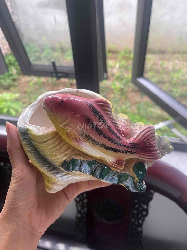Chậu cây mini Gốm sứ Men bóng. Mua bán Đồ sưu tầm, đồ cổ tại Quận Ba Đình Hà Nội được đăng bởi Hoa Nguyễn hình 1