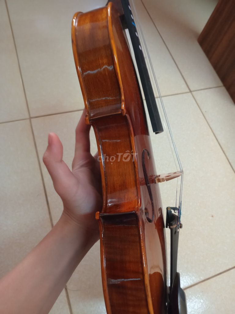 Đàn violin TV02 4/4