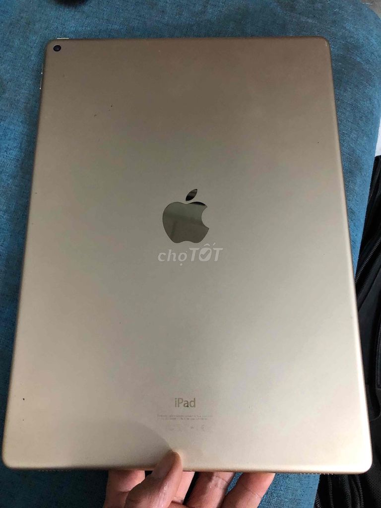 xác ipad pro 12.9 mất nguồn như hình