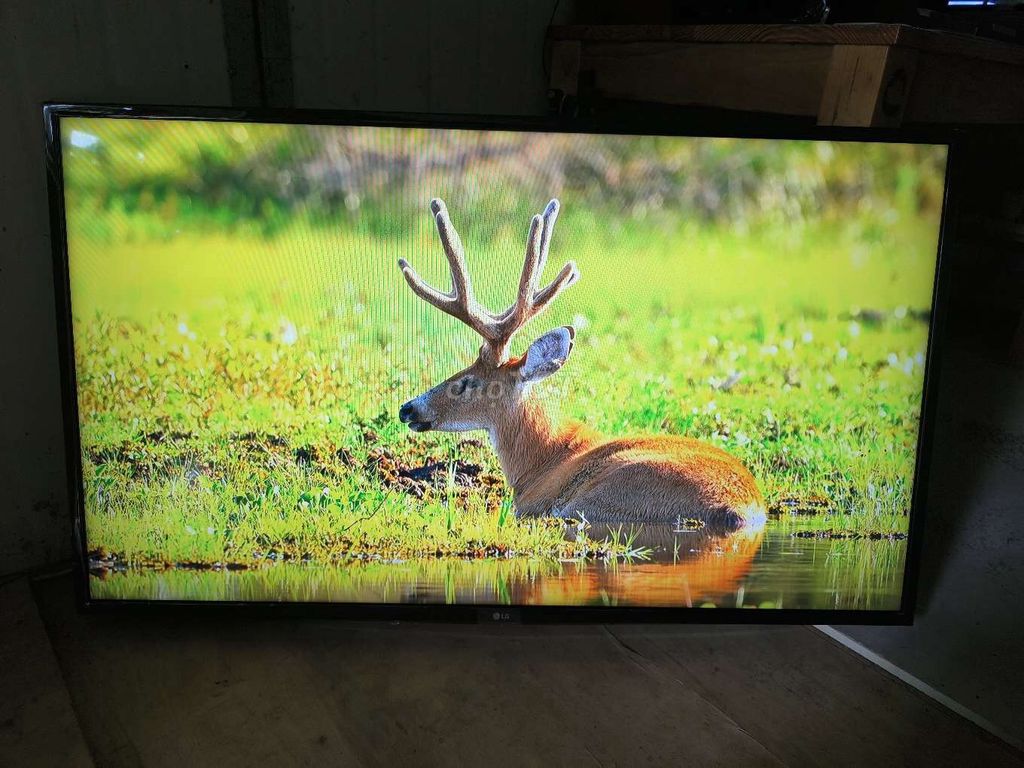 Tivi LG 49 inch đã sử dụng. Mua bán Tivi, Âm thanh tại Thành phố Thủ Đức Tp Hồ Chí Minh được đăng bởi Tạp Hoá HL hình 1