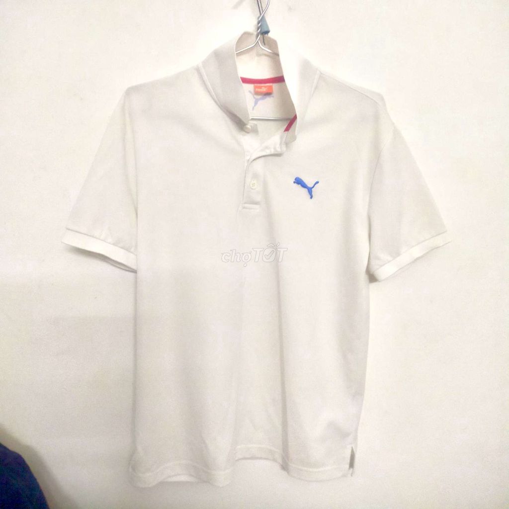 Áo polo nam Puma size M. Mua bán Quần áo tại Quận Phú Nhuận Tp Hồ Chí Minh được đăng bởi Long Tran hình 1