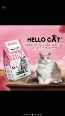 [ HỎA TỐC ] Thức Ăn Cho Mèo Vị Cá Ngừ Hello Cat Tu