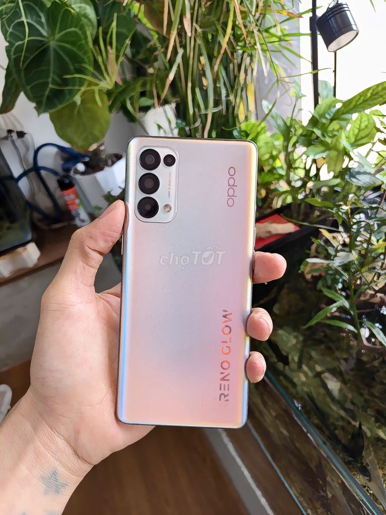 Oppo Reno 5 Pro QT 128GB Bạc Đã thay pin. Mua bán Điện thoại tại Thành phố Thủ Đức Tp Hồ Chí Minh được đăng bởi Võ Tấn Vui  hình 1