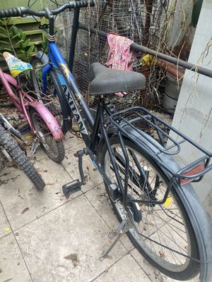 Xe đạp cho hs sinh viên đi học