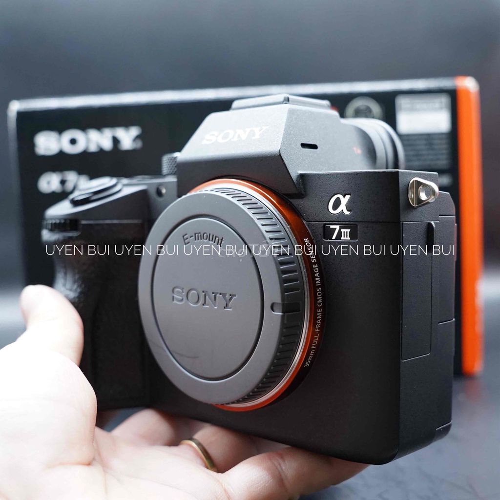 Body Sony A73