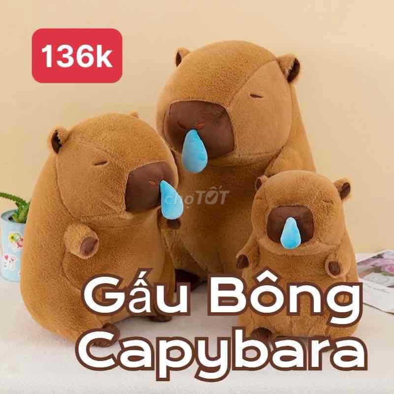 ✅Gấu Bông Capybaba Rút Mũi 30cm