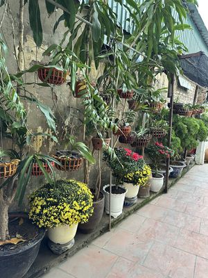 Phòng trọ đường Lê Trọng Tấn