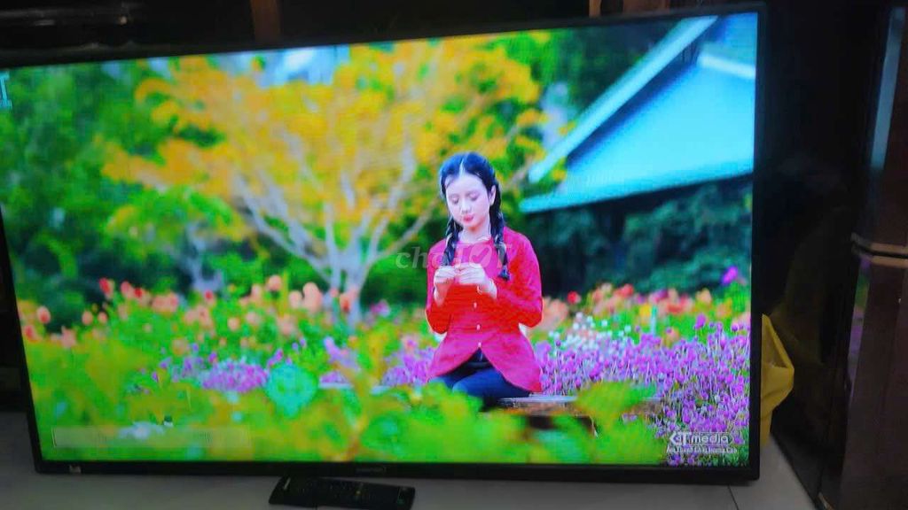 Tivi Asanzo 43 inch Wifi Đã sử dụng. Mua bán Tivi, Âm thanh tại Huyện Bình Chánh Tp Hồ Chí Minh được đăng bởi Thi thom Pham hình 1