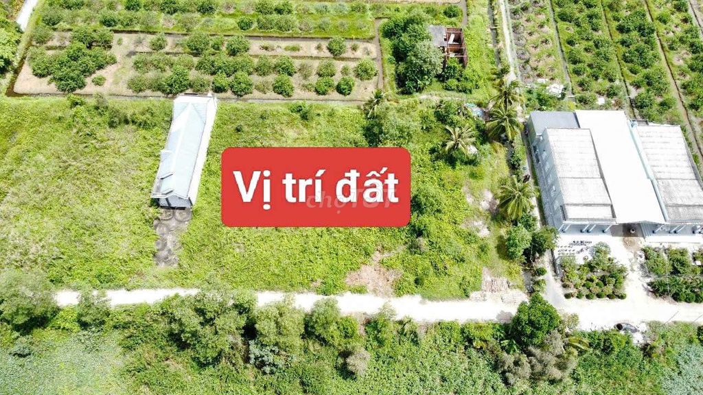 Đất xây nhà vườn, Homestay, Xưởng -1000m2 Thổ cư- SHCC