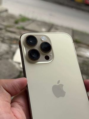 Iphone 14 promax gold keng pin 100 giá mềm như thợ. Mua bán Điện thoại tại Thị xã Phú Mỹ Bà Rịa - Vũng Tàu được đăng bởi Heymac Apple