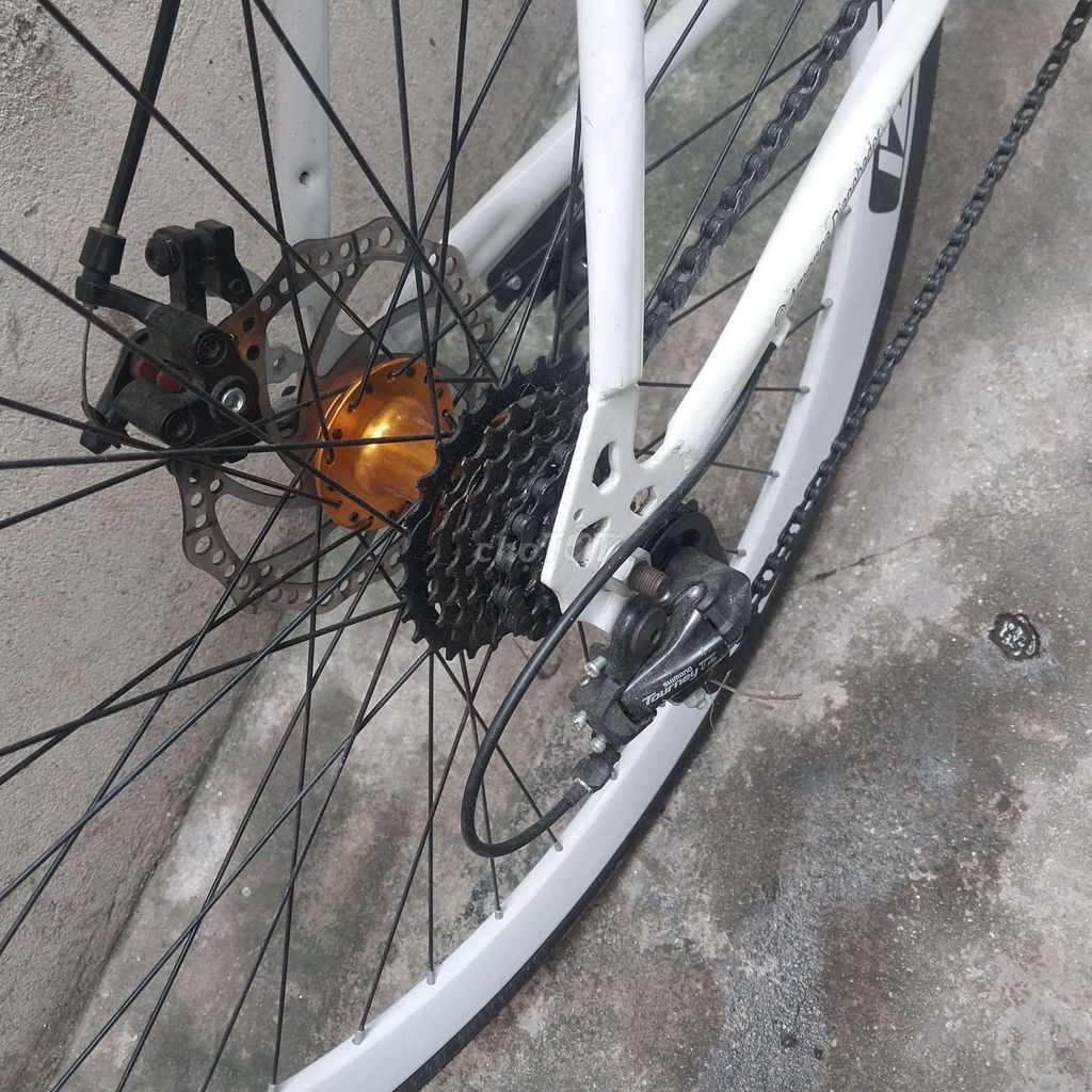 Xe đạp thể thao. Mua bán Xe đạp tại Quận Ngô Quyền Hải Phòng được đăng bởi quang hình 3