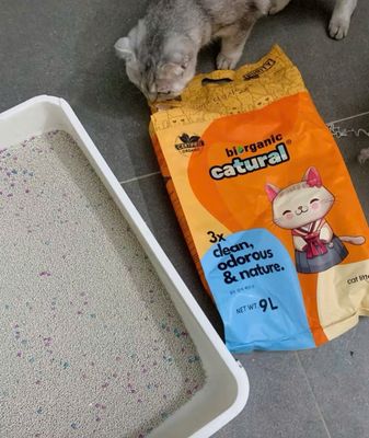 CÁT VỆ SINH CHO MÈO BENTONITE 4kg  - HƯƠNG PHẤN. Mua bán Phụ kiện, Thức ăn, Dịch vụ tại Thành phố Thủ Đức Tp Hồ Chí Minh được đăng bởi Mai Ly