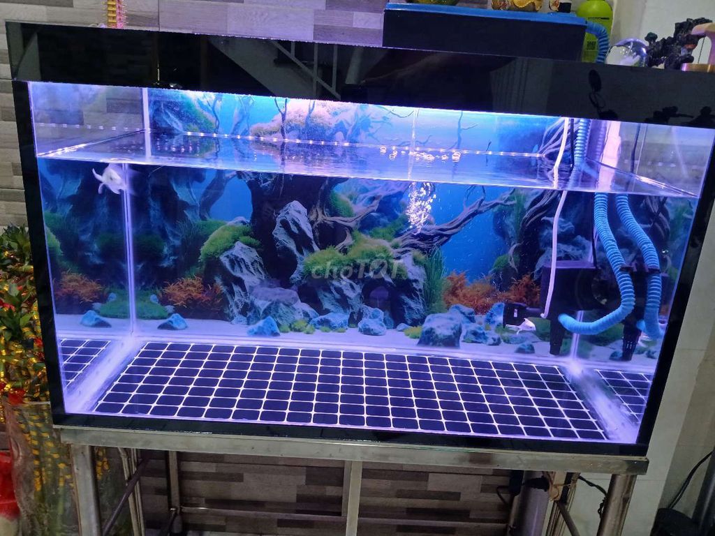 Hồ cá bị cấn cạnh tí xíu. Mua bán Phụ kiện, Thức ăn, Dịch vụ tại Quận Tân Bình Tp Hồ Chí Minh được đăng bởi Trương Bảo hình 1