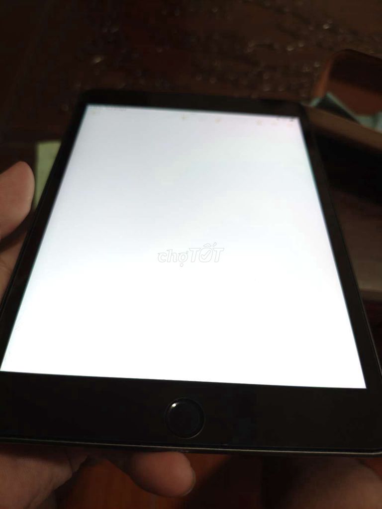 Apple iPad Mini 5 64GB wifi Xám Đã sử dụng. Mua bán Máy tính bảng tại Huyện Đông Anh Hà Nội được đăng bởi Nguyễn Đình Văn  hình 1