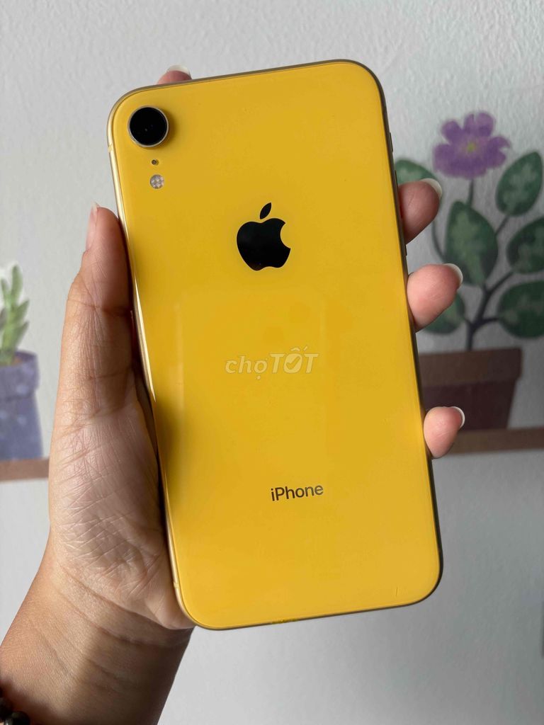 iPhone XR 128GB Vàng. Mua bán Điện thoại tại Quận 3 Tp Hồ Chí Minh được đăng bởi Kim Nhi hình 1