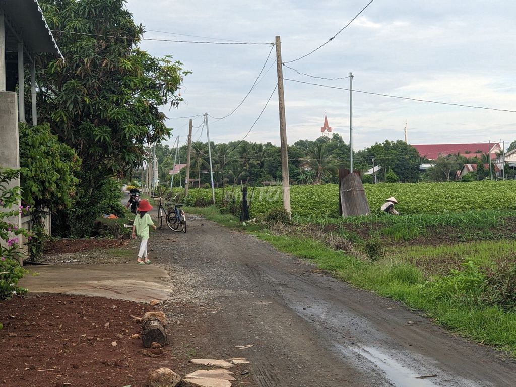 KHÓ KHĂN QUÁ MUỐN BÁN LÔ ĐẤT CỦA NHÀ AI MUA GỌI TUI