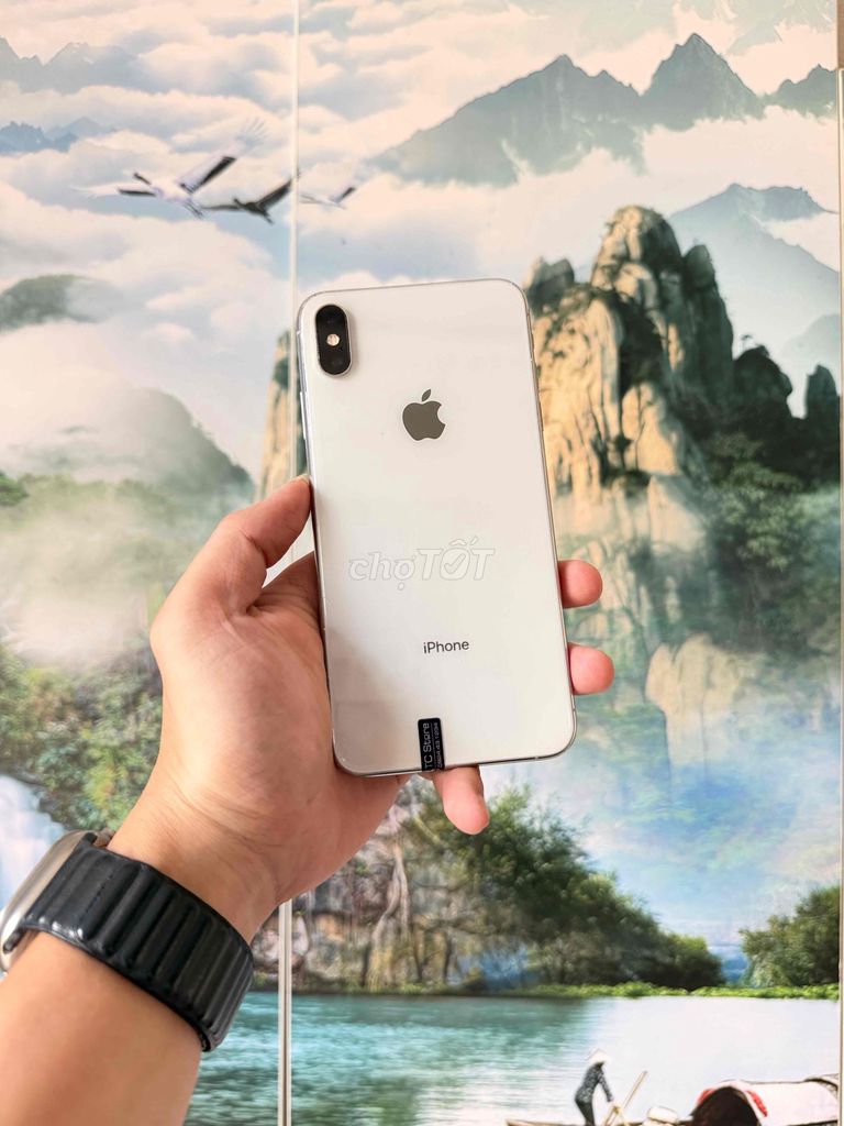 Apple iPhone XS Max 64Gb. Mua bán Điện thoại tại Quận Thanh Khê Đà Nẵng được đăng bởi Tiến Cường hình 1