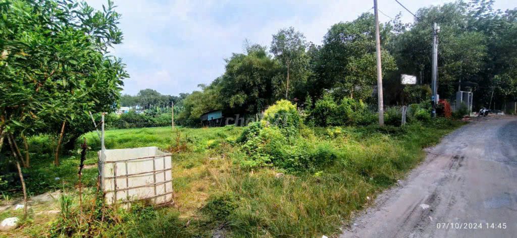 Bán Lô Đất  Sau KCN Long Đức,H. Long Thành, 3500m2, Giá 5Ty8 TL. Mua bán đất tại Huyện Long Thành Đồng Nai được đăng bởi Trần Thái CTA hình 2