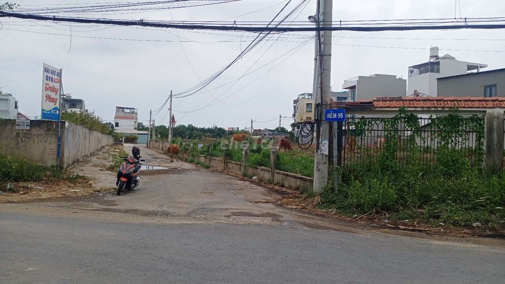Cho thuê đất góc hai mặt tiền đường Bưng Ông Thoàn, Phú Hữu, Quận 9