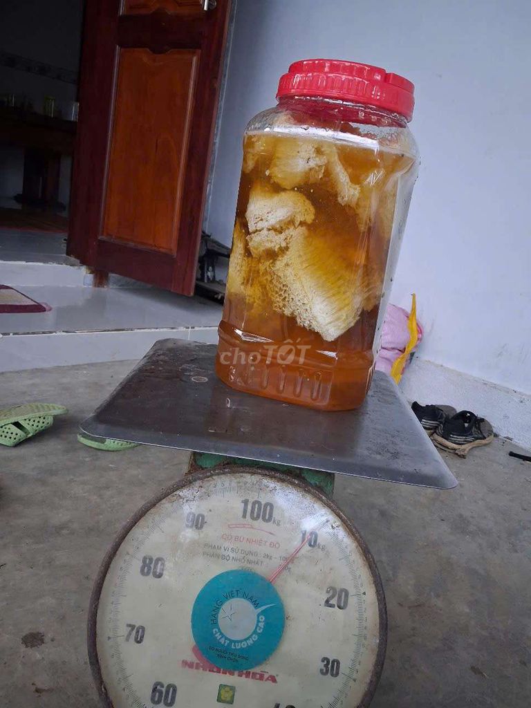 Bán 8kg mật ong rừng cả tổ nguyên chất PHÚ YÊN. Mua bán Đồ ăn, thực phẩm và các loại khác tại Quận Gò Vấp Tp Hồ Chí Minh được đăng bởi Bùi Văn Dũng hình 1
