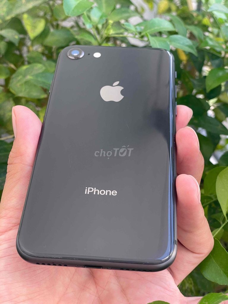 iPhone 8 64GB Zin Full CN, icl sạch. Mua bán Điện thoại tại Thành phố Thủ Đức Tp Hồ Chí Minh được đăng bởi SV APPLE hình 1