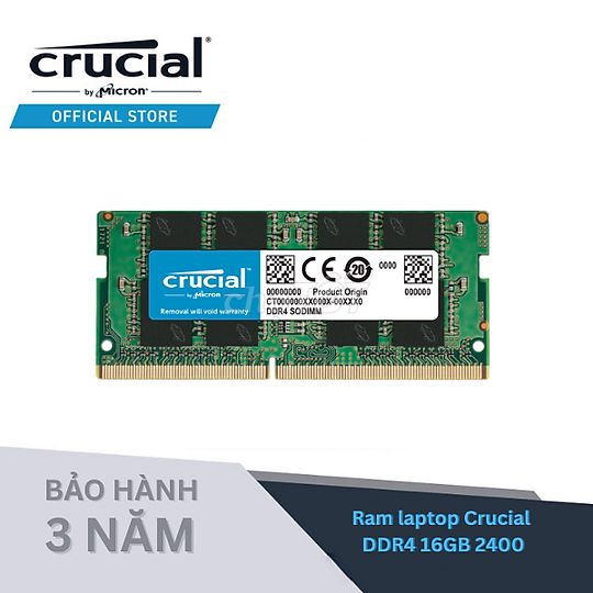 RAM & SSD CRUCIAL