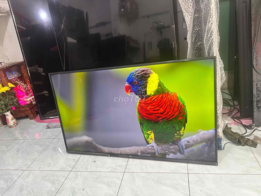 Tivi TCL P615 4K Điều khiển giọng nói. Mua bán Tivi, Âm thanh tại Huyện Hóc Môn Tp Hồ Chí Minh được đăng bởi ngoc hình 1