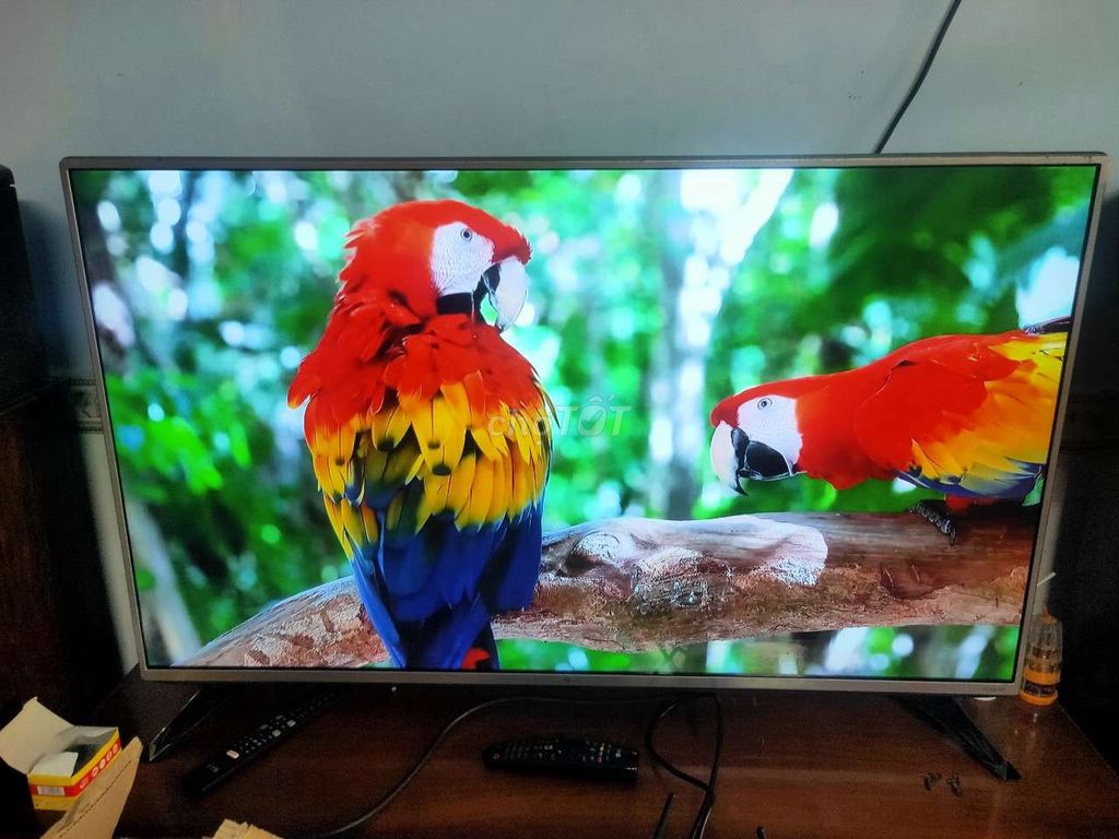 Smart tivi LG43IN yotube chạy nhanh mượt có dvb t2