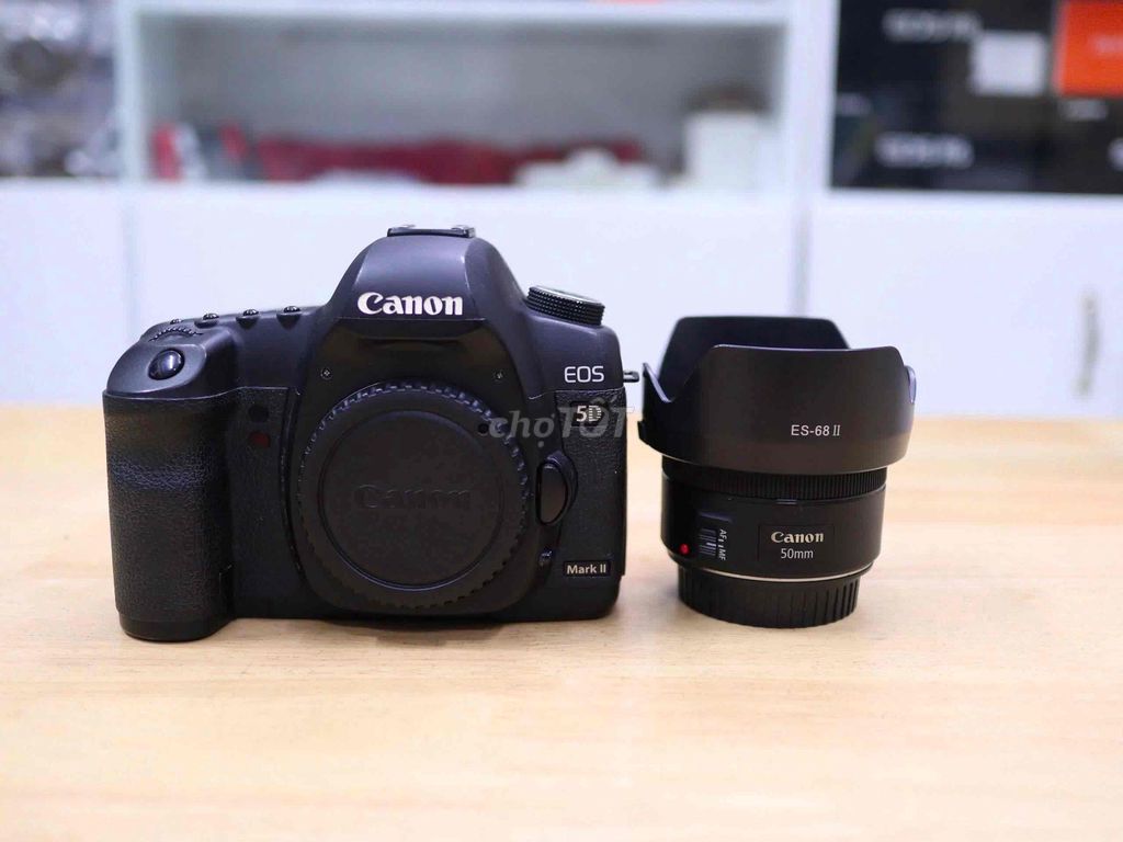 Canon 5D Mark II DSLR +Lens  50f1.8STM. Mua bán Máy ảnh, Máy quay tại Thành phố Thủ Dầu Một Bình Dương được đăng bởi Chinh Lee hình 1