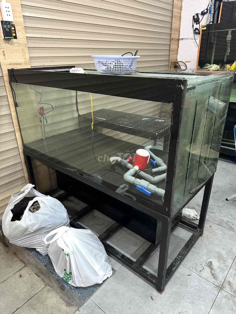 Hồ 1m50x68x68 Thanh Lý. Mua bán Thú cưng khác tại Quận 6 Tp Hồ Chí Minh được đăng bởi Bu  hình 1