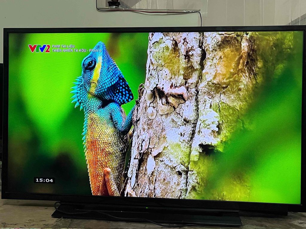 Tivi Sony 40 inch tích hợp DVB T2. Mua bán Tivi, Âm thanh tại Quận Lê Chân Hải Phòng được đăng bởi Anh Tân hình 1