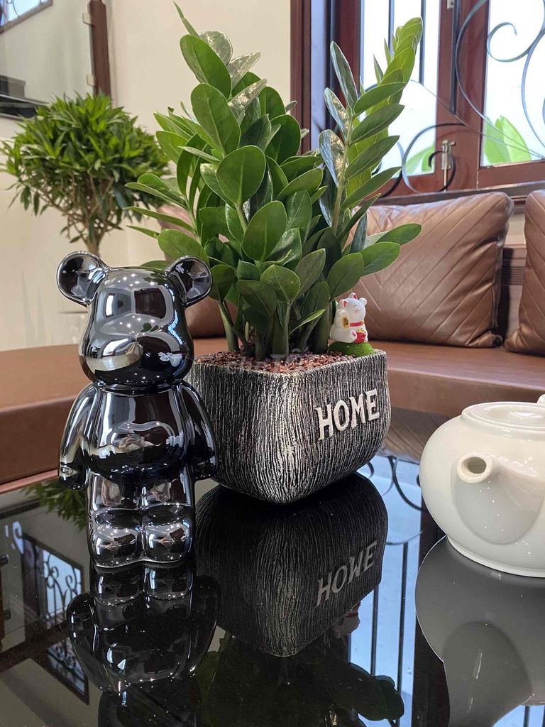 Furnished mini villa with garden opposite a park in Hòa Xuân — photo 12