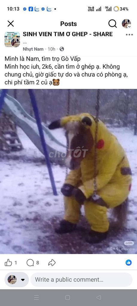 пропуск в хостел