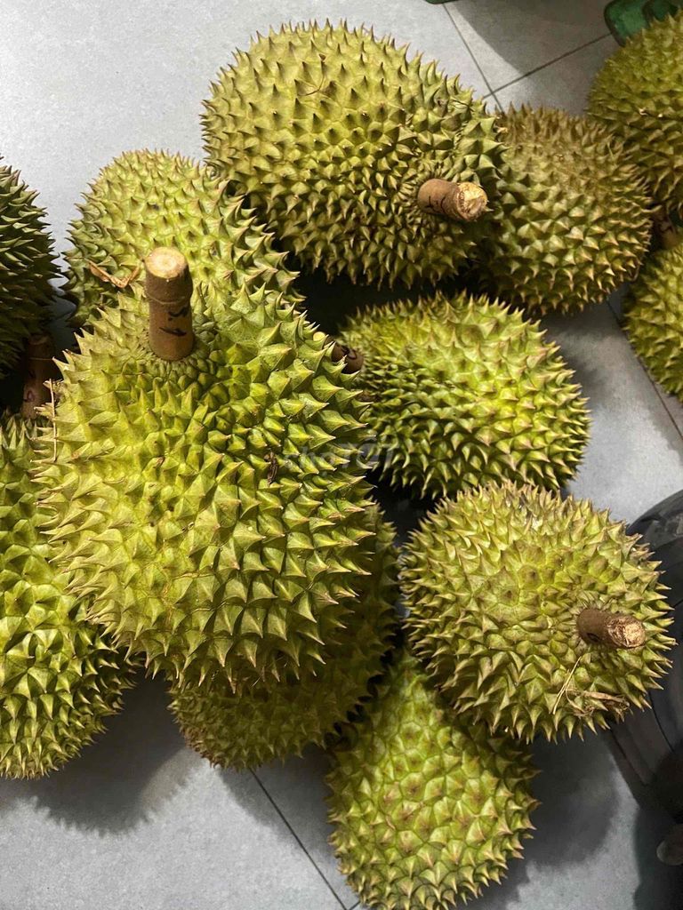 sầu riêng ri6 bao ăn 50k/1kg