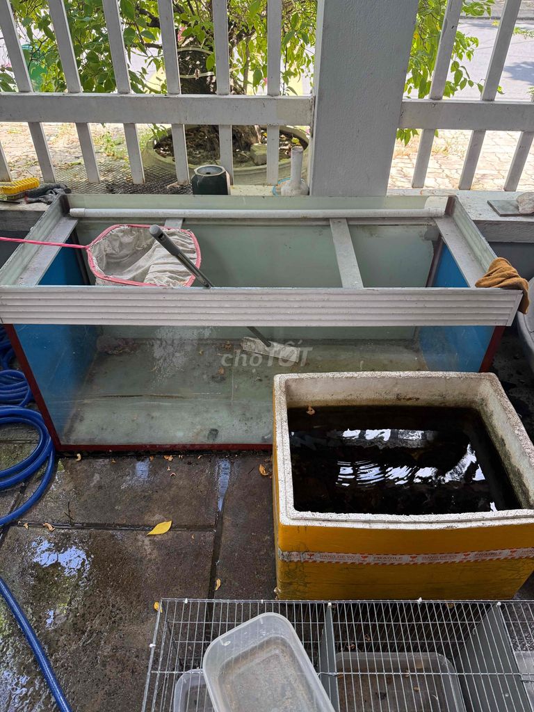 Bể cá 1m2 kính 10ly. Mua bán Phụ kiện, Thức ăn, Dịch vụ tại Quận Cẩm Lệ Đà Nẵng được đăng bởi Anh Huy Huỳnh Ngọc hình 1