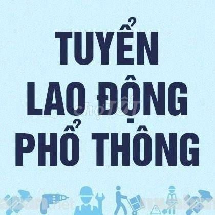 LAO ĐỘNG PHỔ THÔNG NAM đứng máy sản xuất