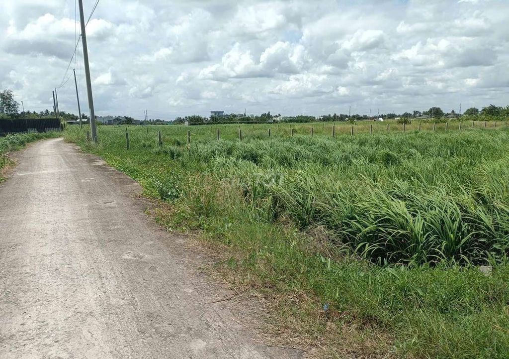 Sở hữu 1960m2 có 200m2 thổ cư CHỈ 1.8 TỶ. Mua bán đất tại Huyện Tân Trụ Long An được đăng bởi nguyễn anh tuấn hình 2