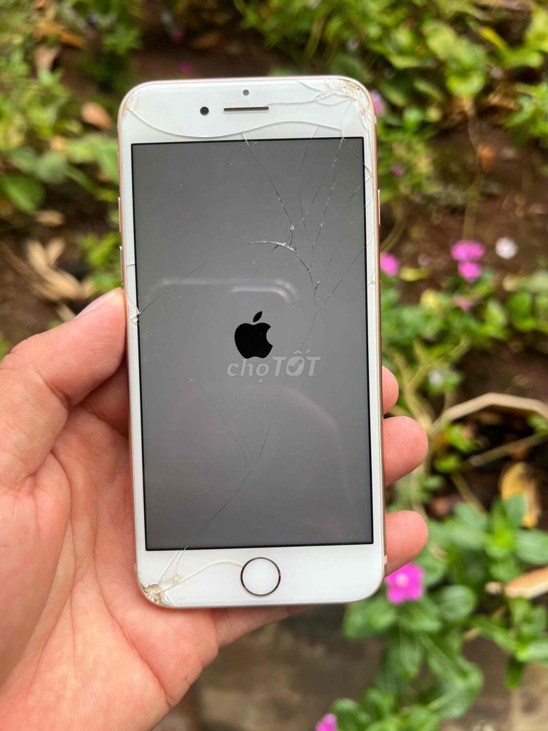 linh kiện Apple iPhone 8 Trắng Hỏng. Mua bán Linh kiện (RAM, Card...) tại Thành phố Bà Rịa Bà Rịa - Vũng Tàu được đăng bởi Yến Nhi hình 1