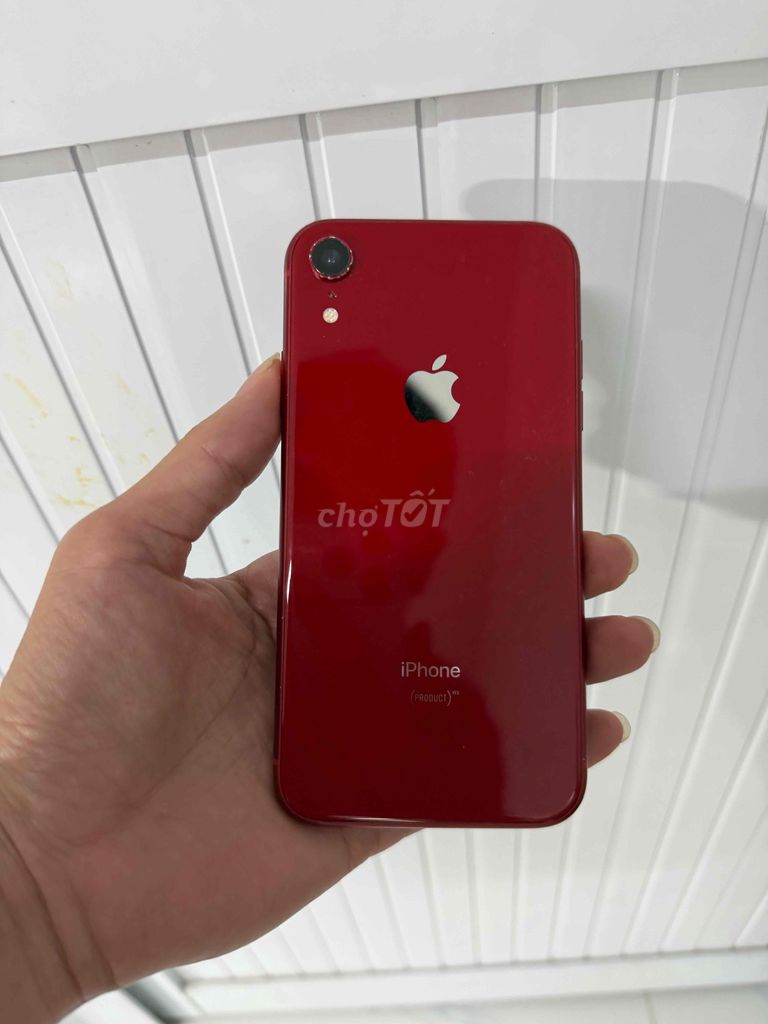 Apple iPhone XR Đỏ dùng wifi. Mua bán Điện thoại tại Quận Ninh Kiều Cần Thơ được đăng bởi LyN hình 1