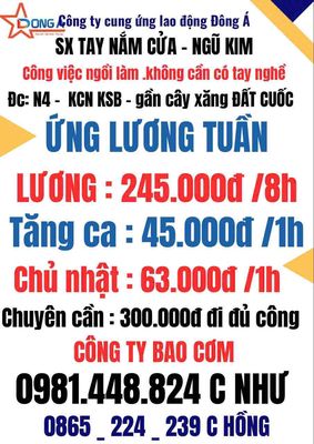 công ty Trác Lập