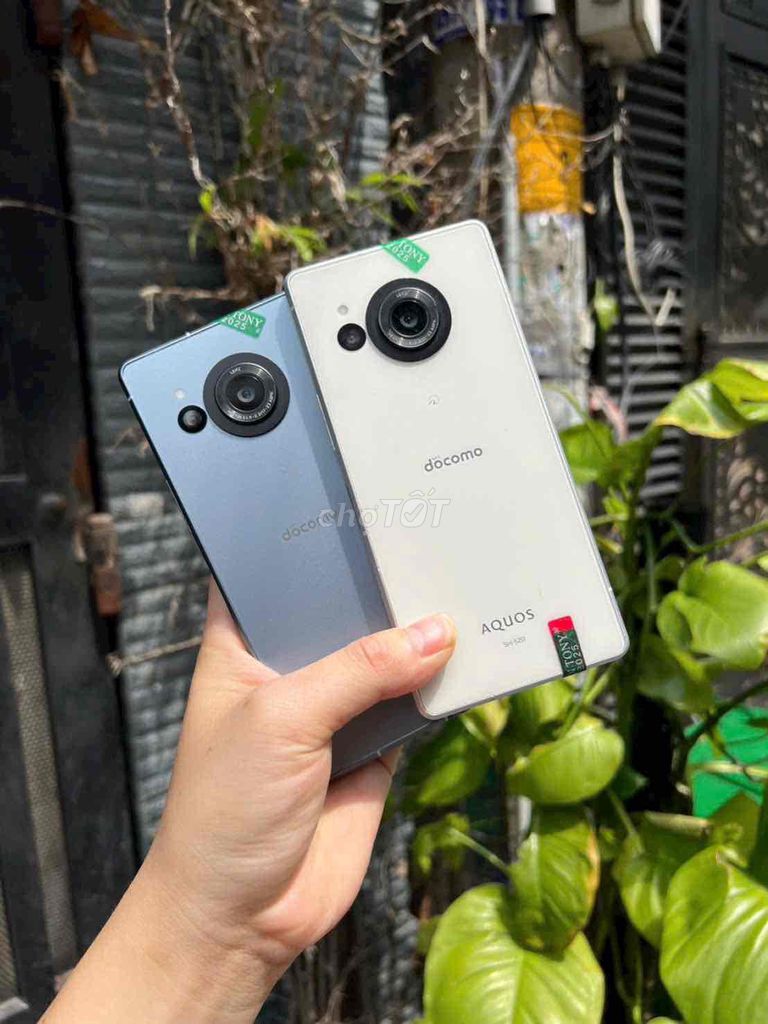 Sharp R8 8GB/256GB. Mua bán Điện thoại tại Quận Gò Vấp Tp Hồ Chí Minh được đăng bởi HVA Store hình 1