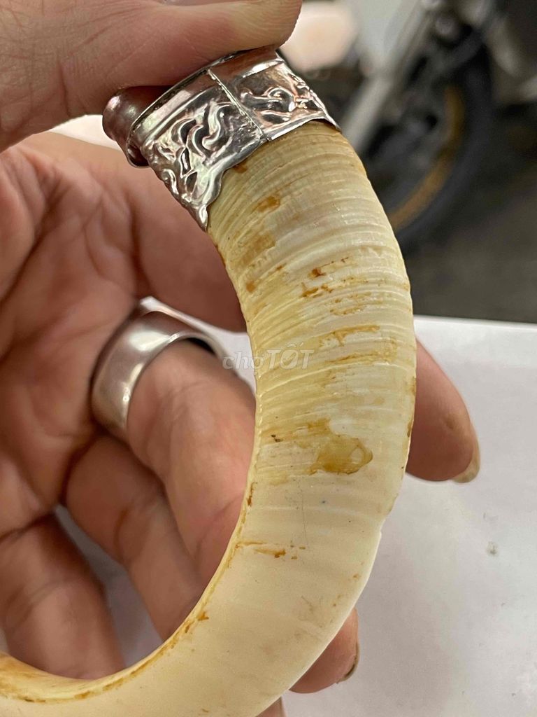 hàng già đanh hiếm nhé cần tiền ra nhanh. Mua bán Đồ sưu tầm, đồ cổ tại Quận Tân Phú Tp Hồ Chí Minh được đăng bởi Nguyenbaoan hình 1