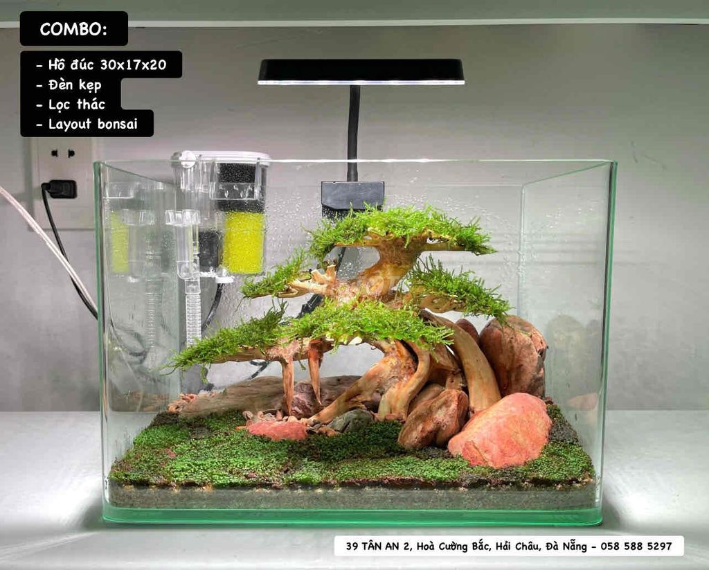 Combo hồ cá thuỷ sinh bonsai 30x17x20cm setup sẵn